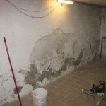 Mögliche Abhilfe: Stark alkalischer Löschkalk-Anstrich