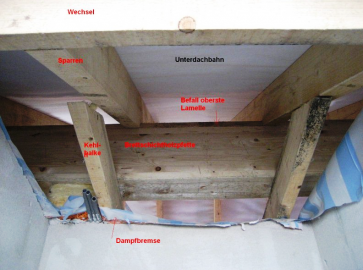 Abb. 2: Beispielhaft, von unten gesehen – unterschiedliche Befallsintensität verschiedener Bauteile (Sparrenunterseite, Kehlbalken und Oberseite, Unterseite und oberste Lamelle der Brettschichtholzpfette) (Foto: Hammes)