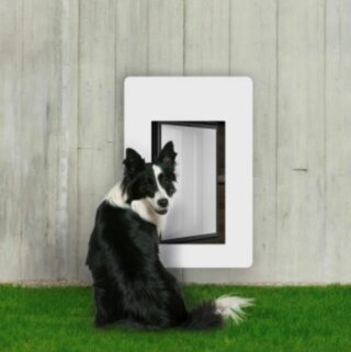 Einbrecher? Keine Chance! | Tiertüren | petWALK